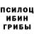 Галлюциногенные грибы Psilocybine cubensis Assistant WKBRL