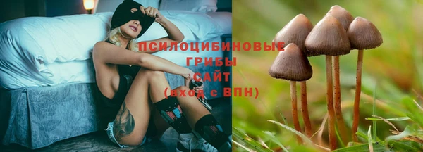 мяу мяу мука Бородино