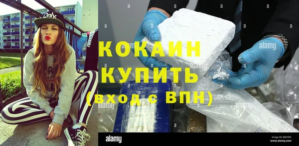 мяу мяу мука Бородино