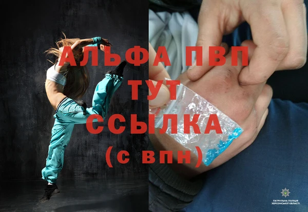 мяу мяу мука Бородино