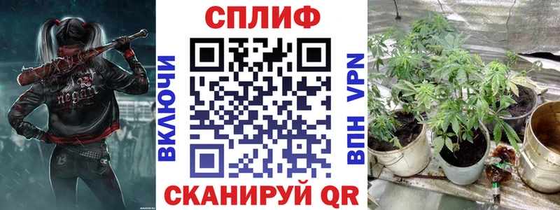 Бошки Шишки тримм  Верещагино 